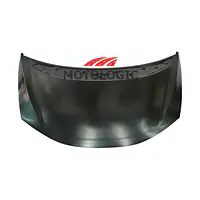 FRONT HOOD PANEL HONDA SERIES - Master