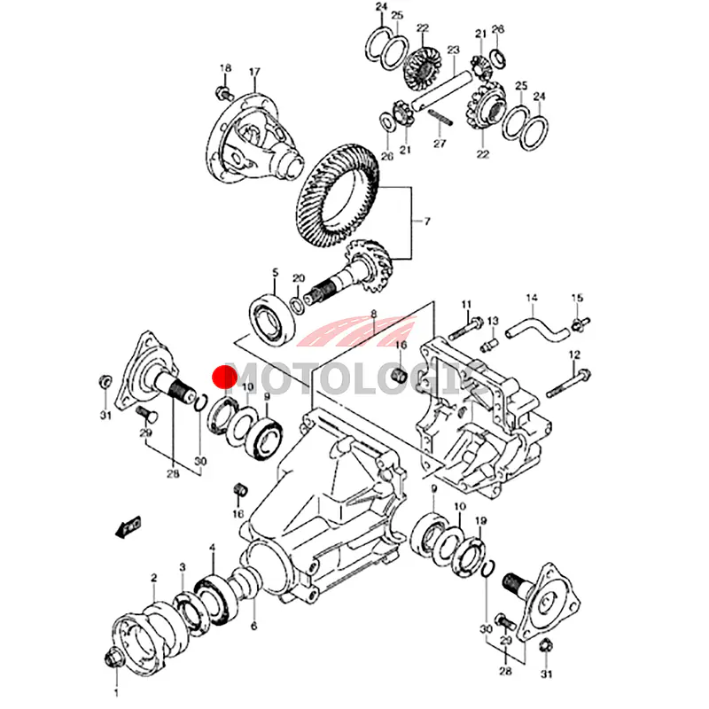 OIL SEAL DIFFERENTIAL SIDE RIGHT SUZUKI SERIES - Master
