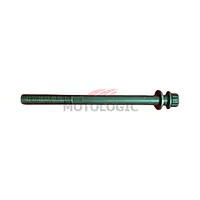 CYLINDER HEAD BOLT VITARA SERIES - Master