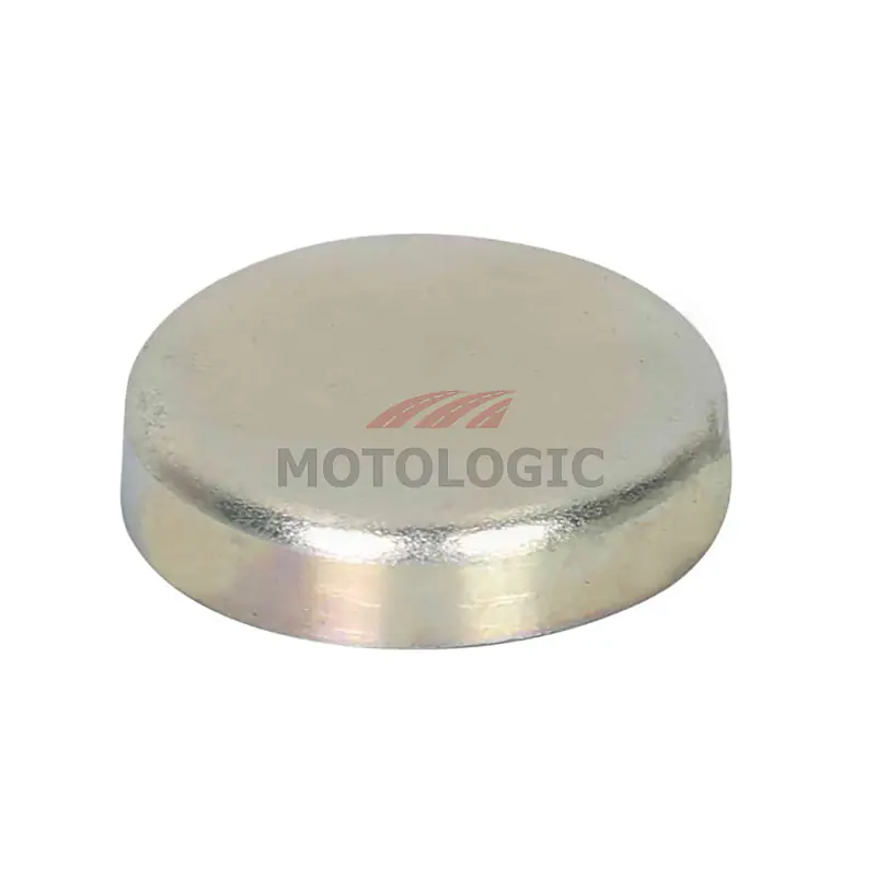 CYLINDER HEAD PLUG SUZUKI ALTO SERIES - Master