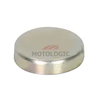 CYLINDER HEAD PLUG SUZUKI ALTO SERIES - Master
